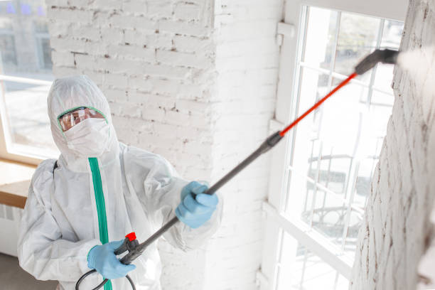 Professional Mold Remediation in Grundy Center, IA